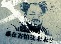 Be a Creditor of Ai Weiwei