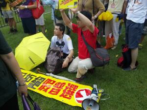 Banner: &quot;The Citizens Against Pseudo-Universal Suffrage,&quot; on the march of the same name, June 14, 2015. HRIC photo.