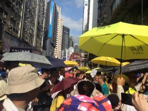 Protesters at the democracy march organized by Civil Human Rights Front, Hong Kong, July 1, 2015. HRIC photo.